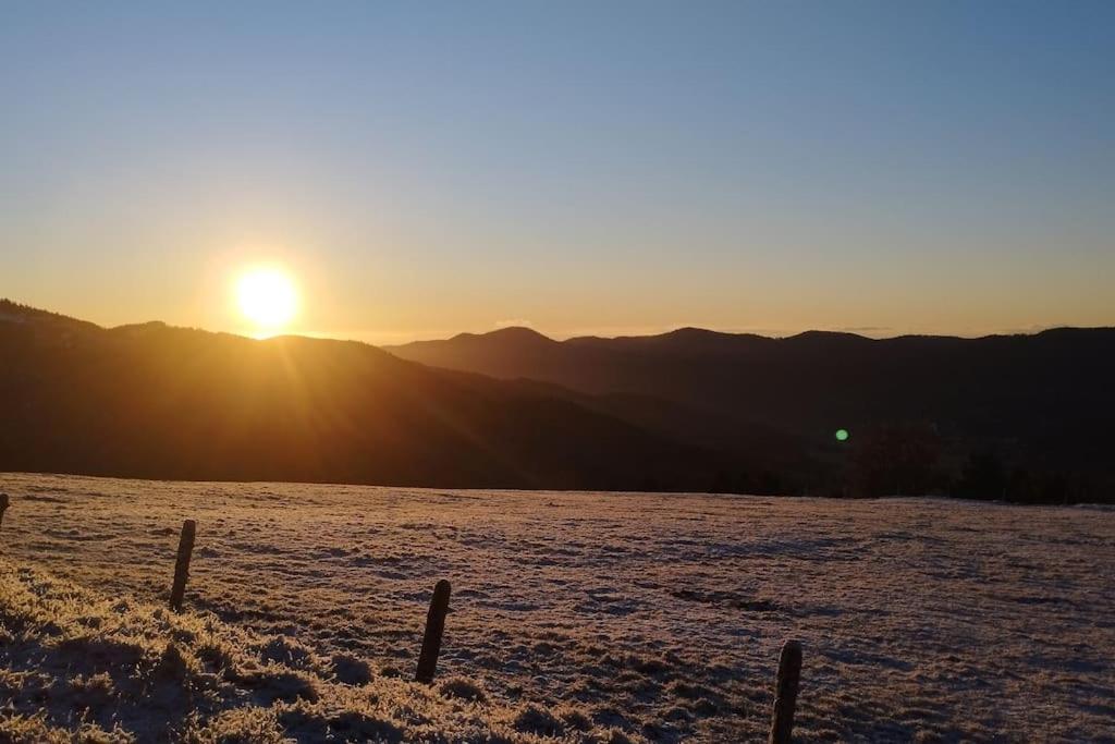 Aux Balcons De La Vallee Soultzeren Exteriör bild