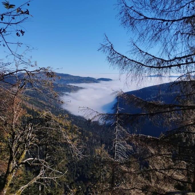 Aux Balcons De La Vallee Soultzeren Exteriör bild