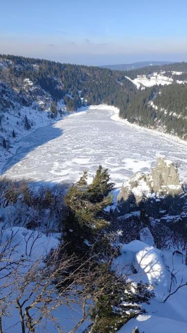 Aux Balcons De La Vallee Soultzeren Exteriör bild