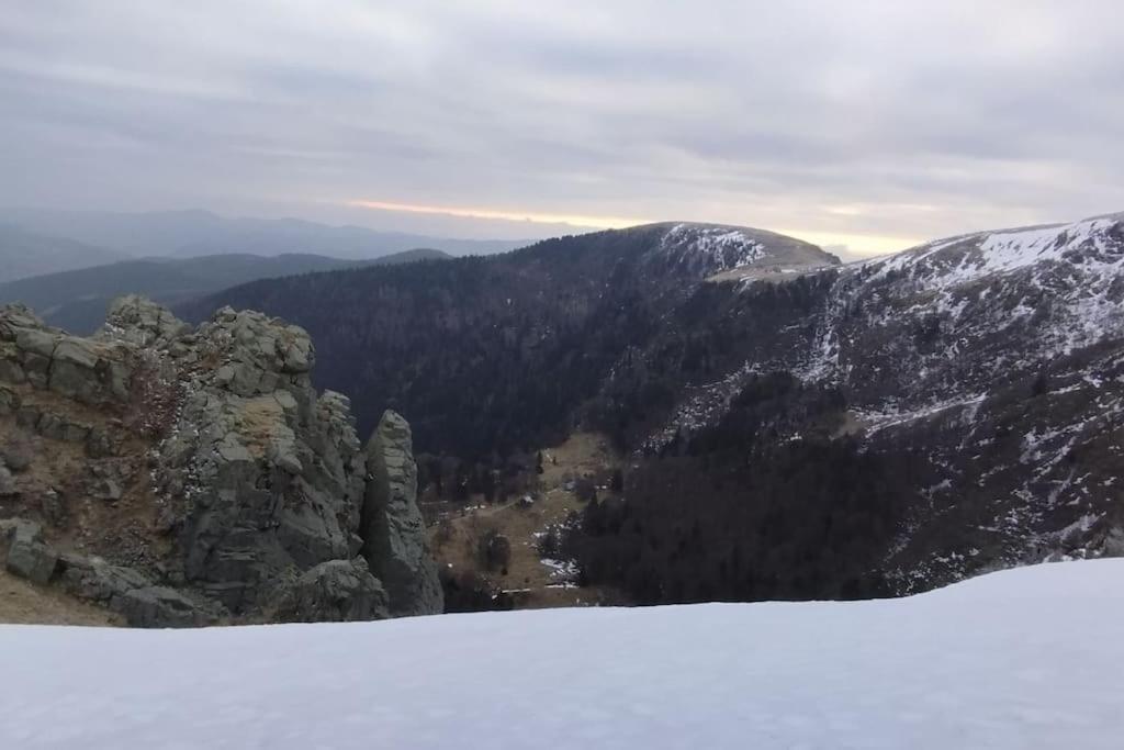 Aux Balcons De La Vallee Soultzeren Exteriör bild