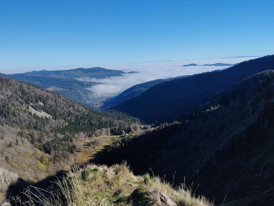Aux Balcons De La Vallee Soultzeren Exteriör bild