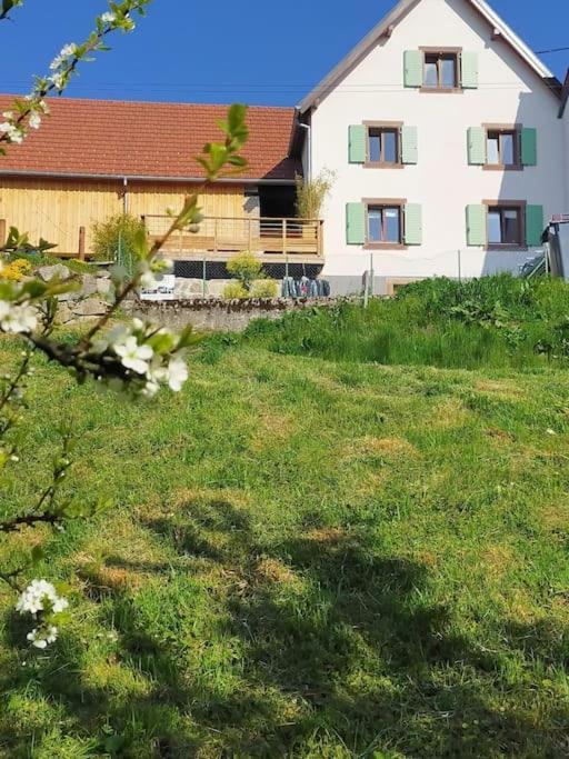 Aux Balcons De La Vallee Soultzeren Exteriör bild