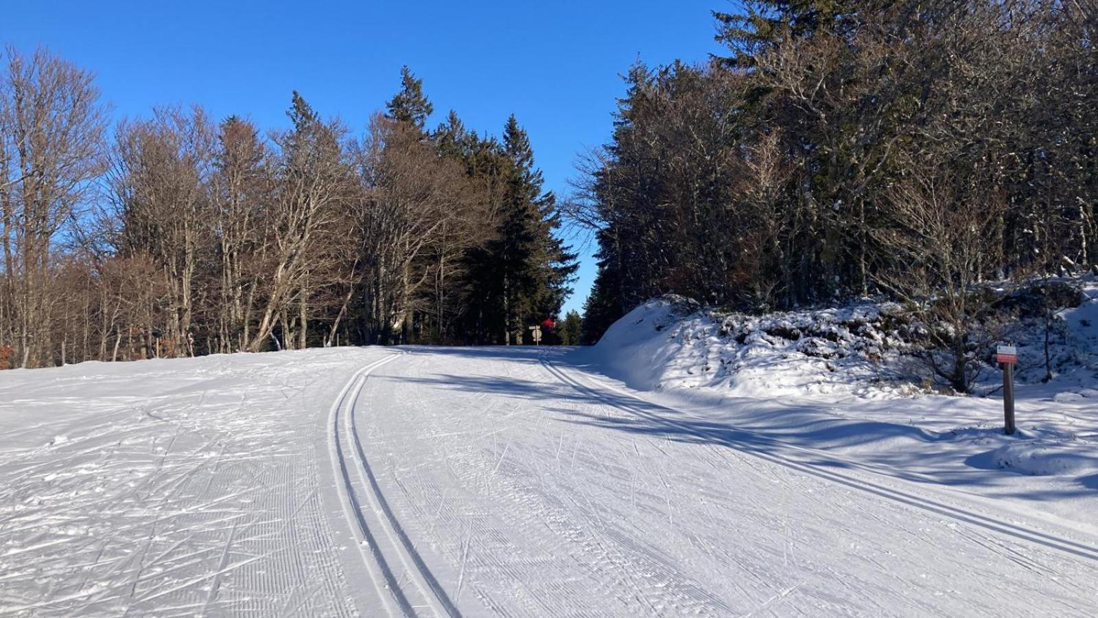 Aux Balcons De La Vallee Soultzeren Exteriör bild